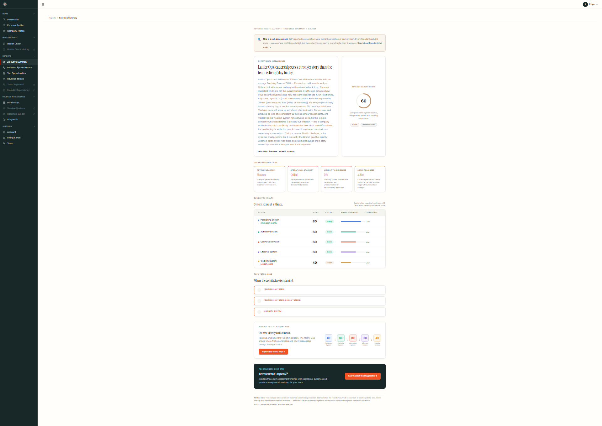 Revenue Visualizer executive summary showing revenue health findings